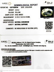 5.54/CT Natural Yellow Sapphire With Govt Lab Certificate-12377D50194